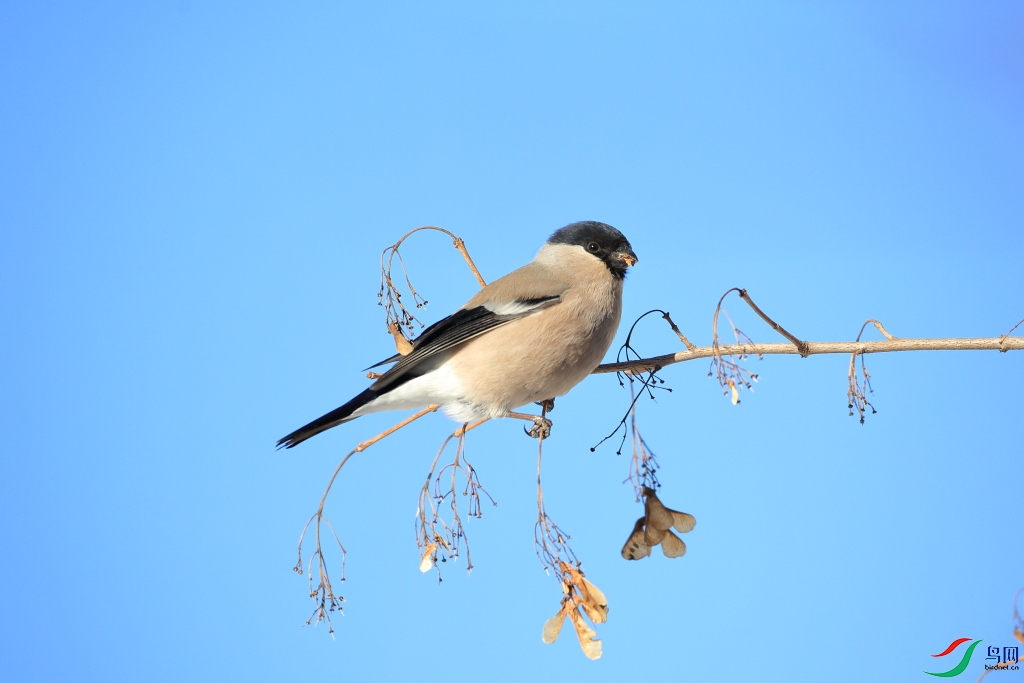 p1:2018��2��18��