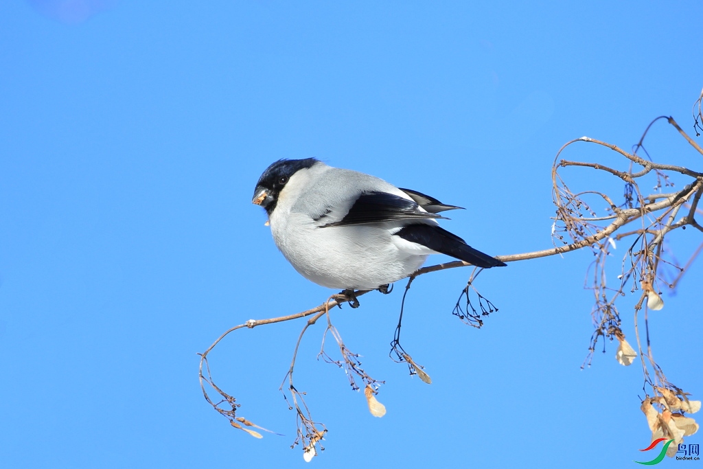 p2:2018��2��18��