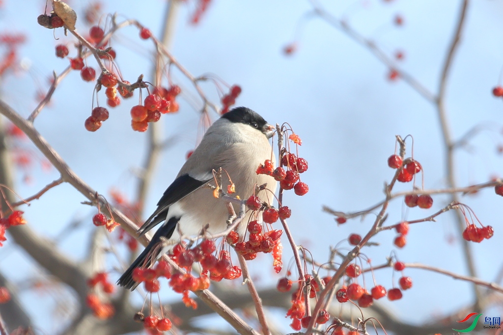 p5:2016��2��15��