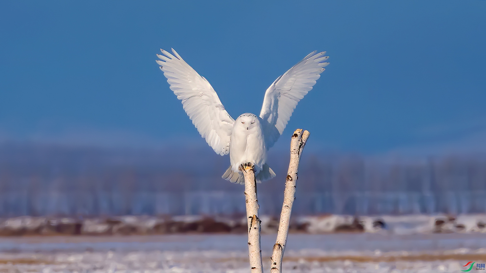 DSC_0287.jpg