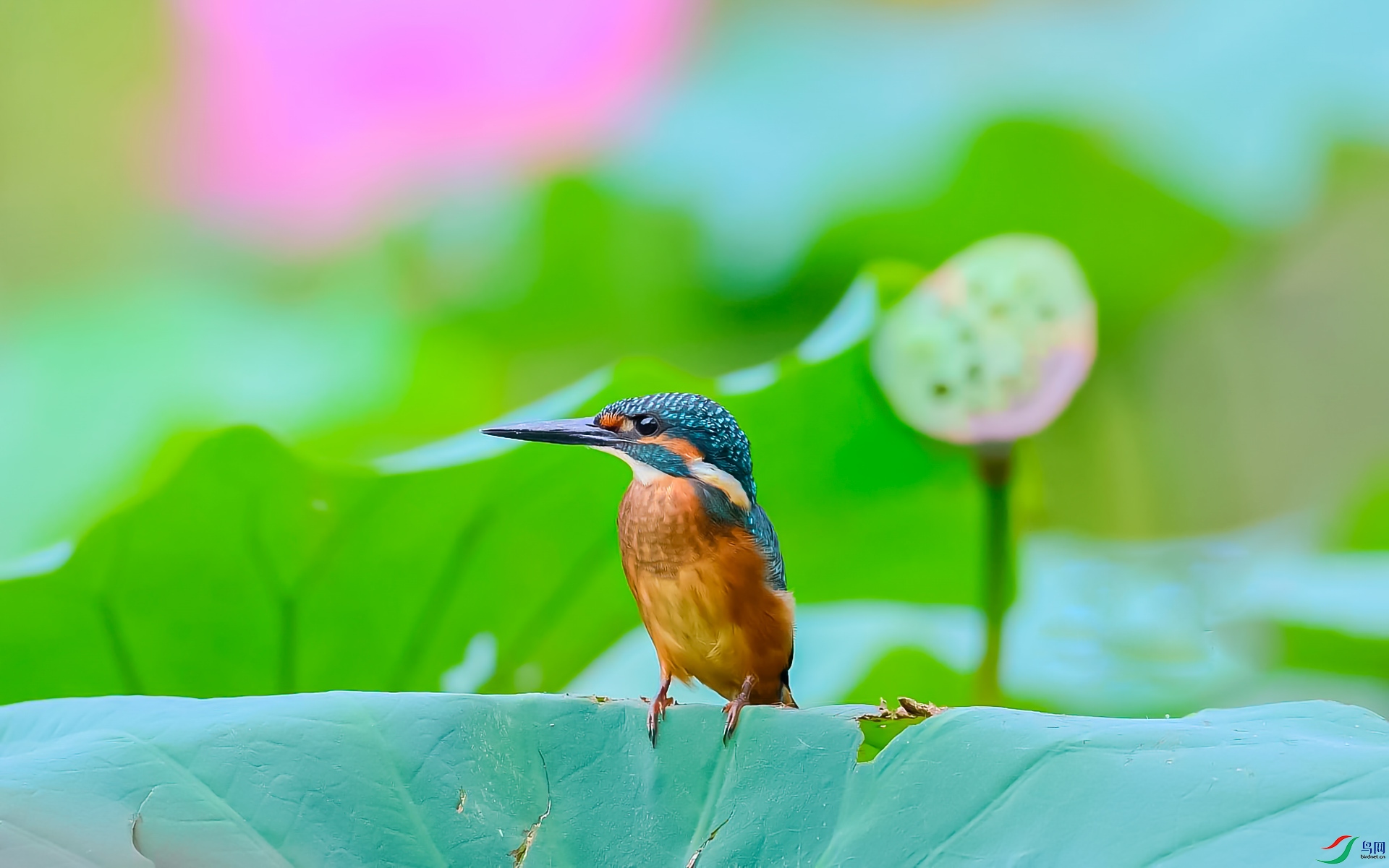 DSC_8472_HZP.jpg