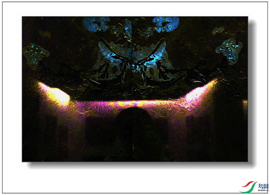 BW6I5746_����_����.jpg