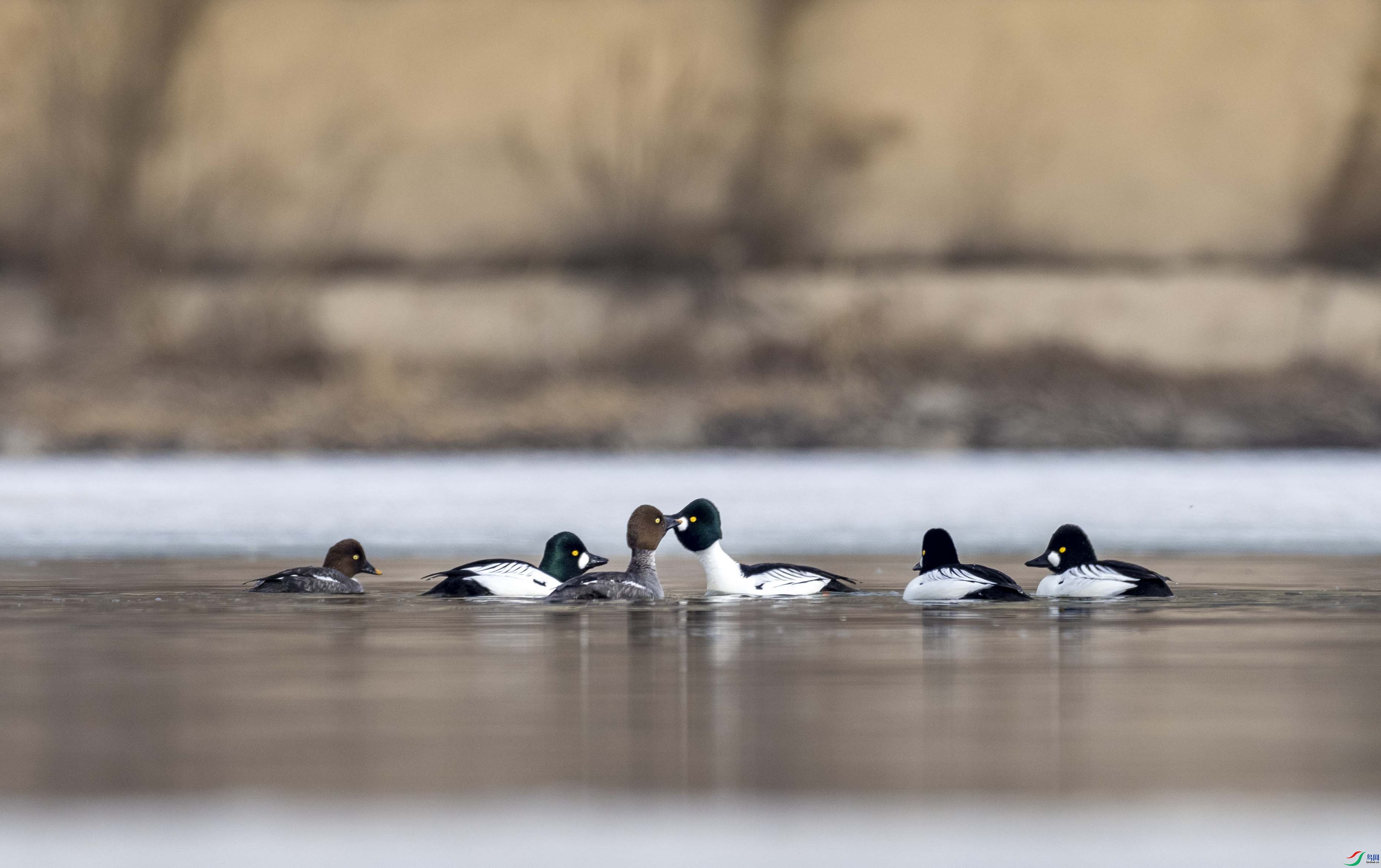 �����˼�