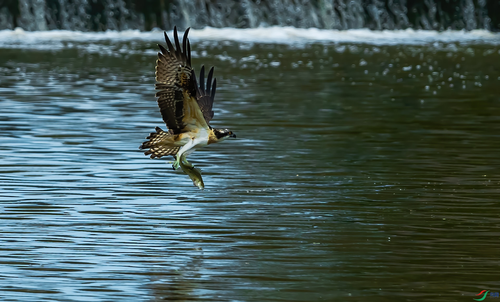DSC_1033.jpg