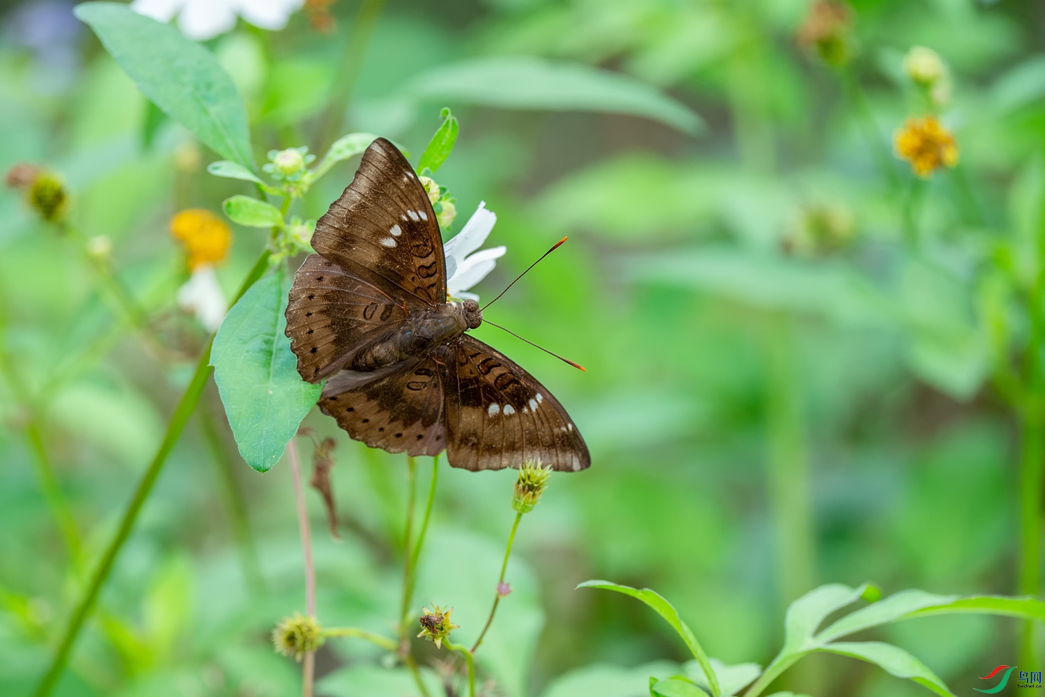 A9D05450a.jpg