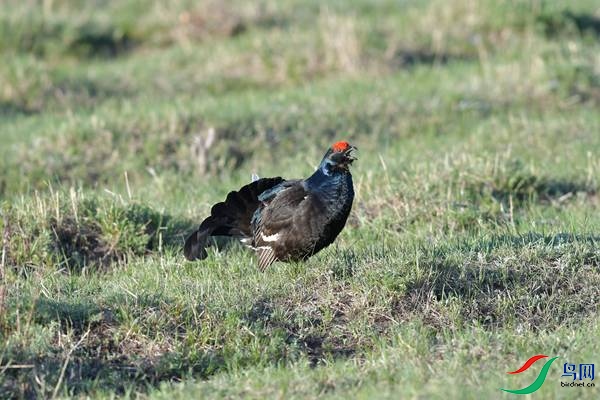 DSC_2400.jpg