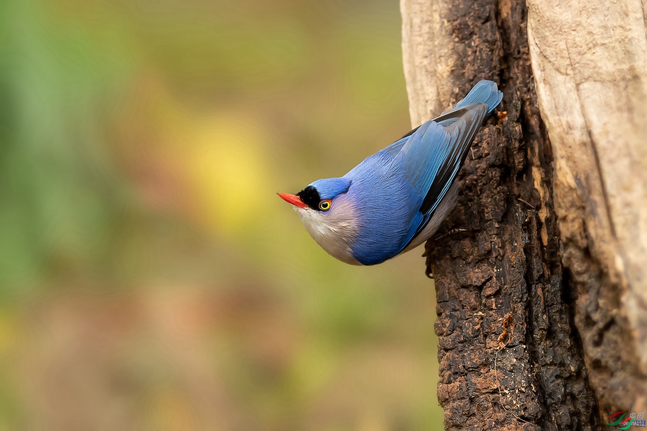 ƽ��wh  ��ʦ����������ʡ�º���徰����������ӯ����.jpg