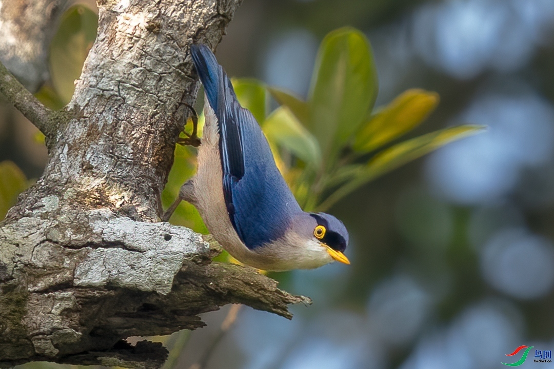 ��������  ��ʦ�����ں���ʡ�ֶ�����������.jpg