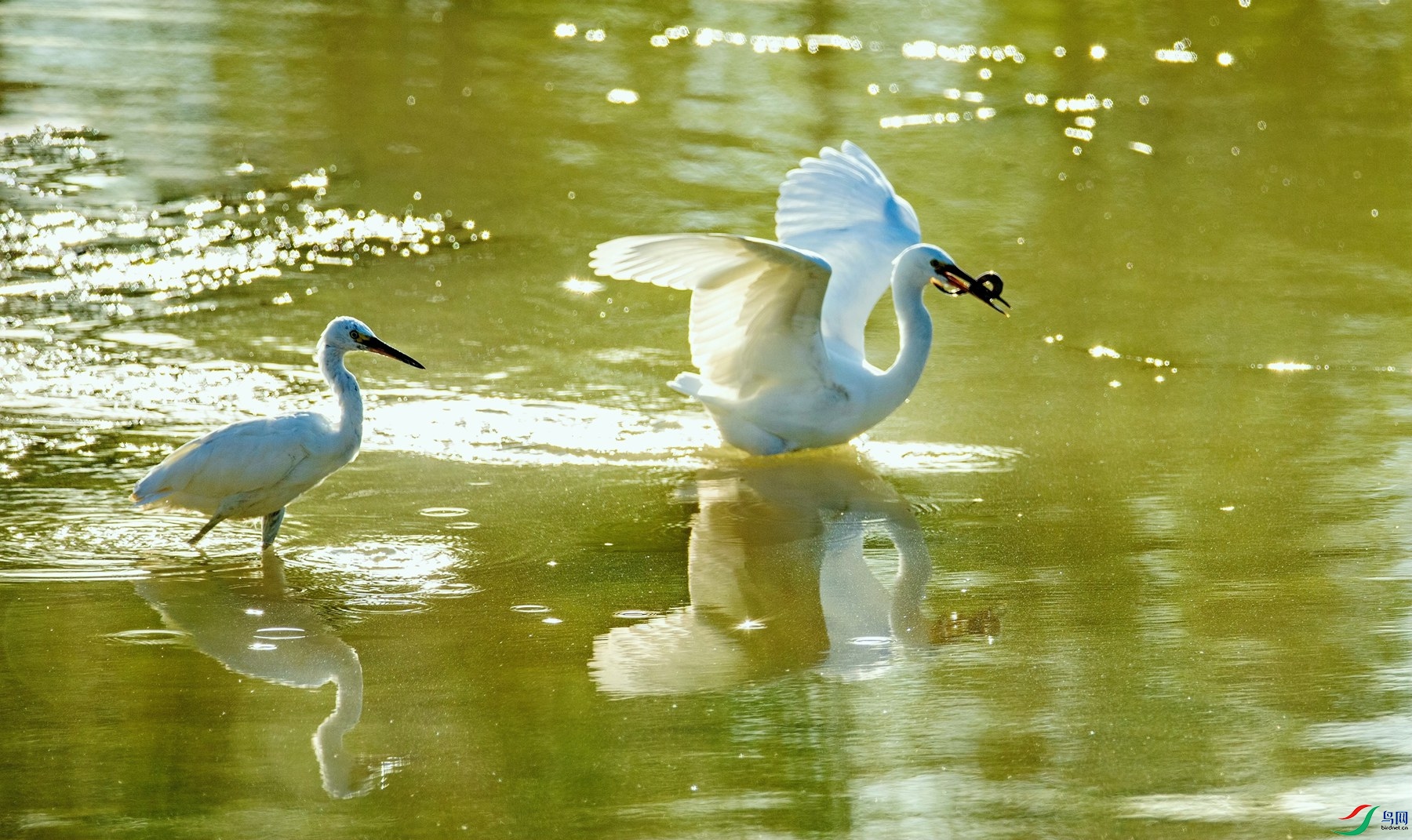 ˫������ (3).jpg