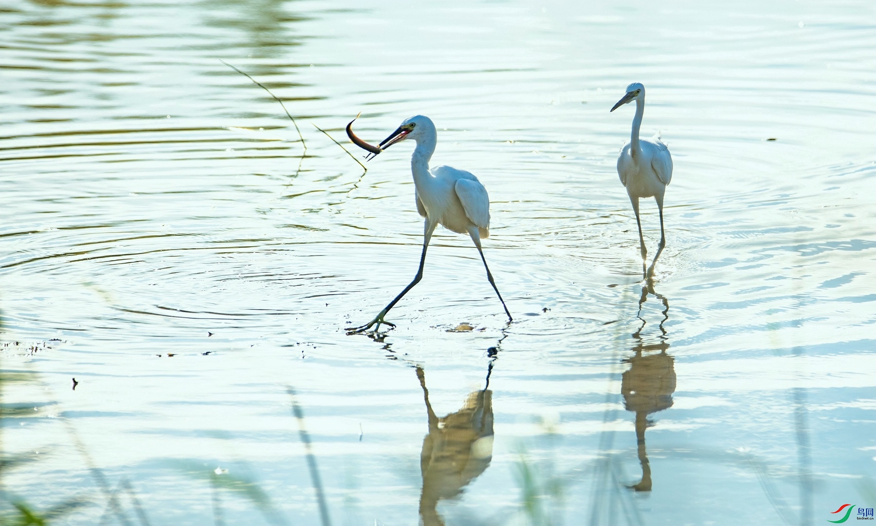 ˫������ (4).jpg