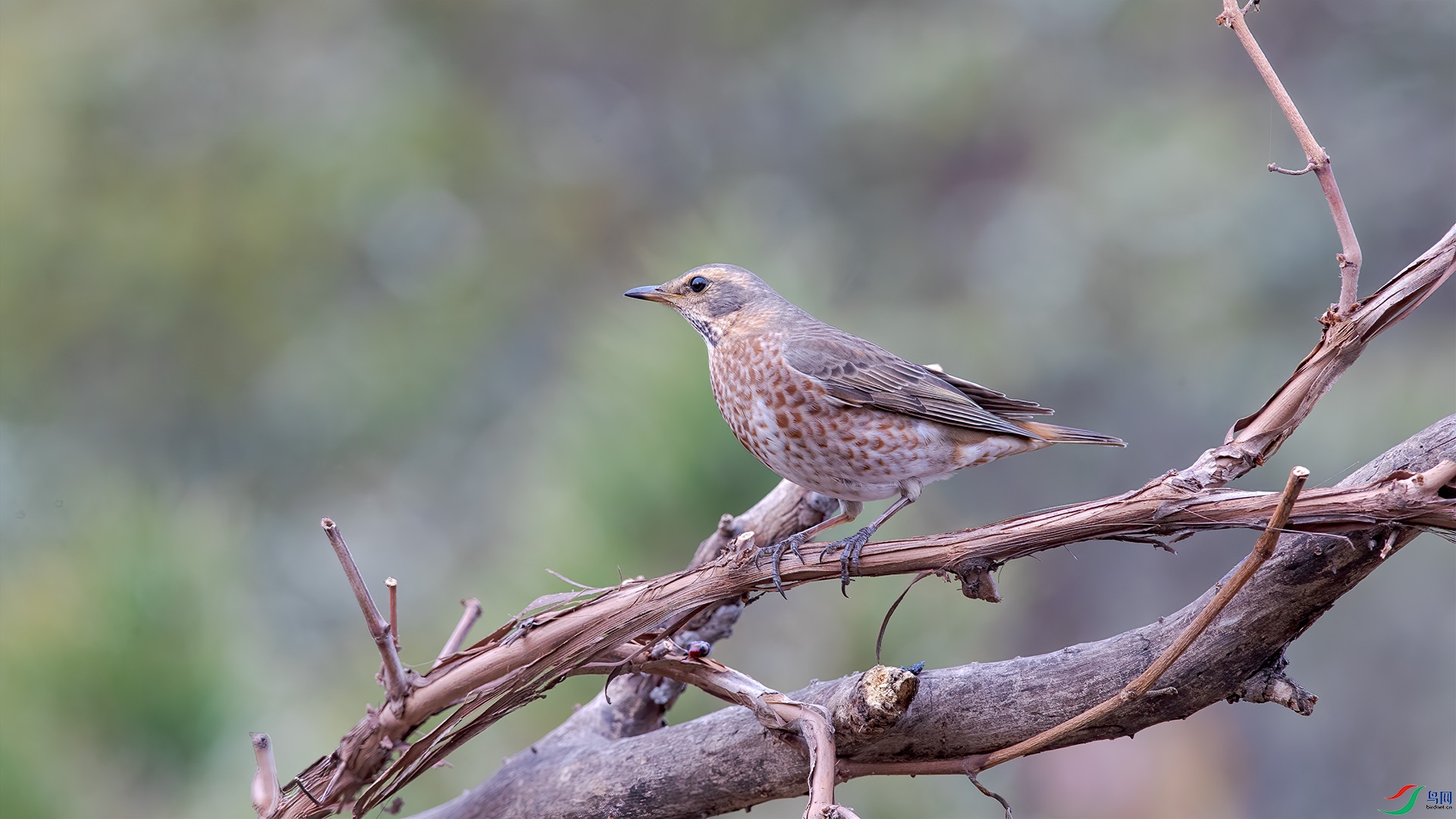 1DX_5870 ���� 2.jpg