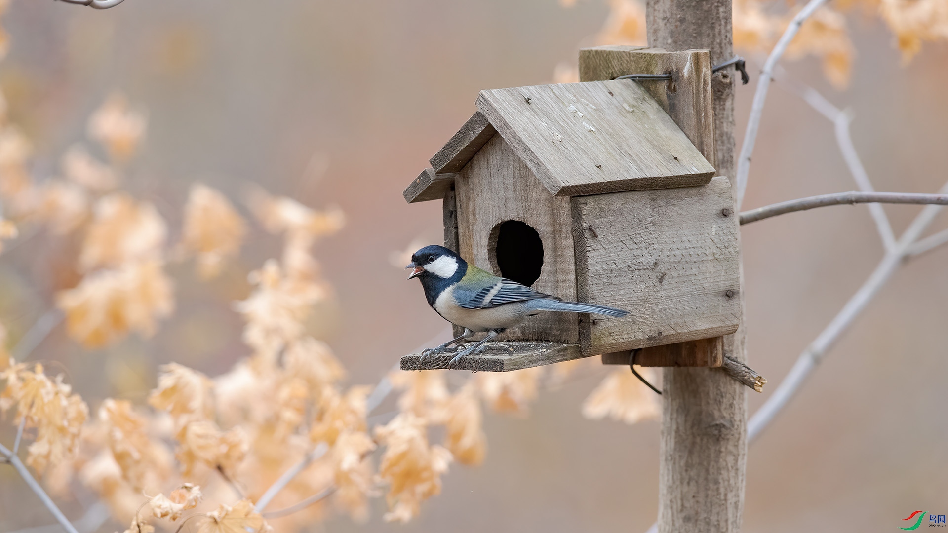 1DX_6165 ���� 2.jpg