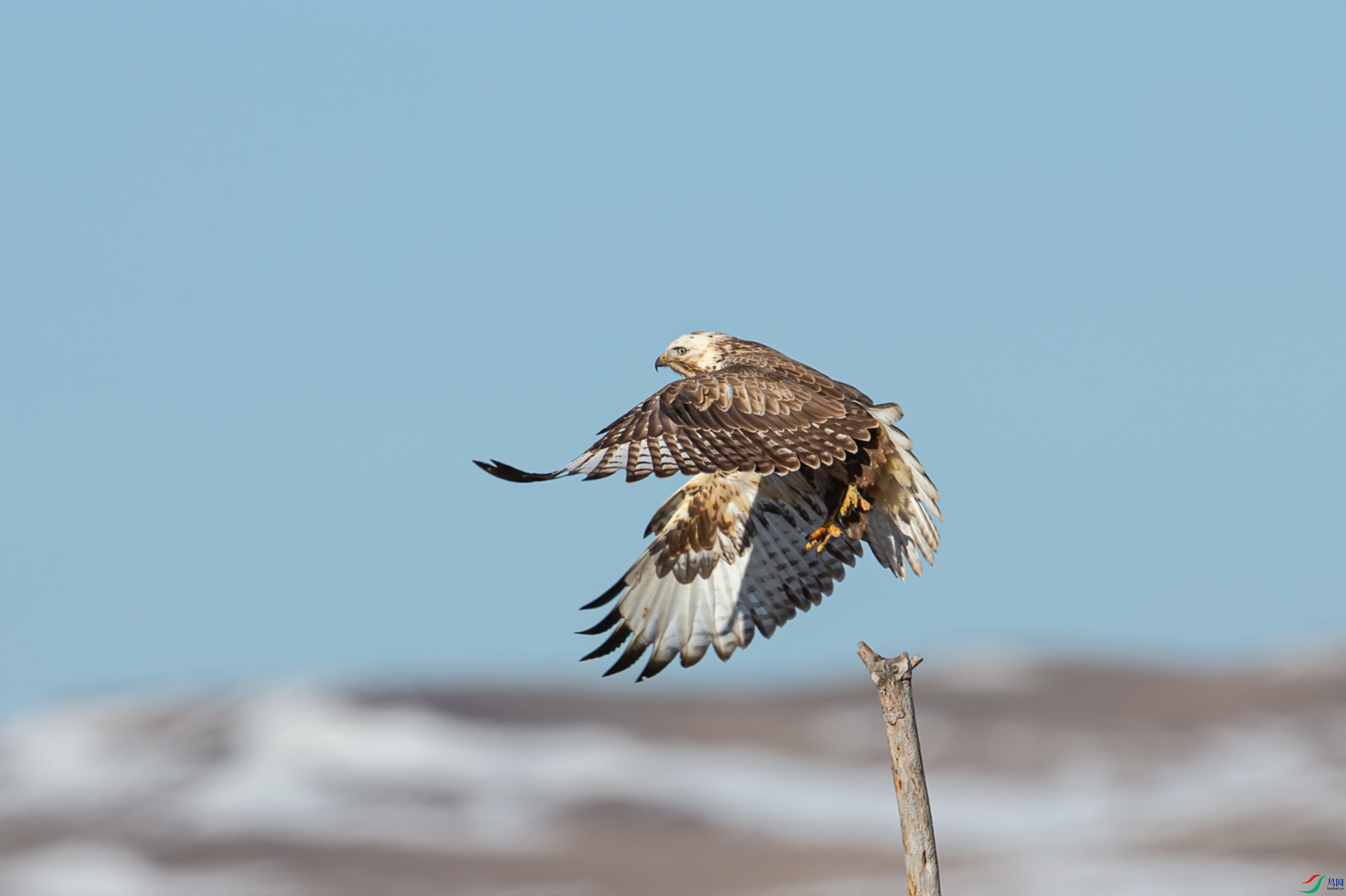 _66U6632���� - ����.jpg