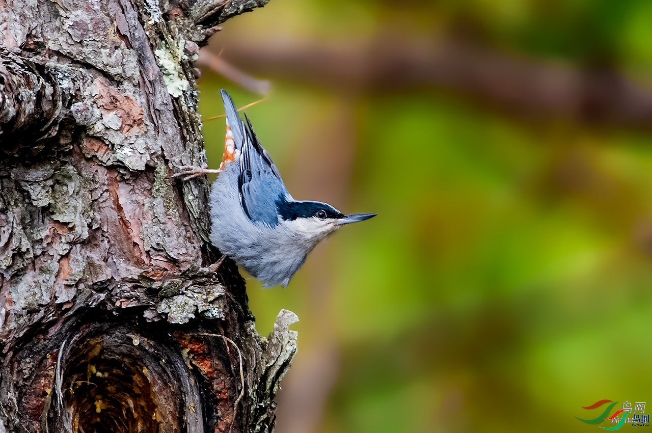 ����  ��ʦ����������ʡ�������������ݳ�����.jpg