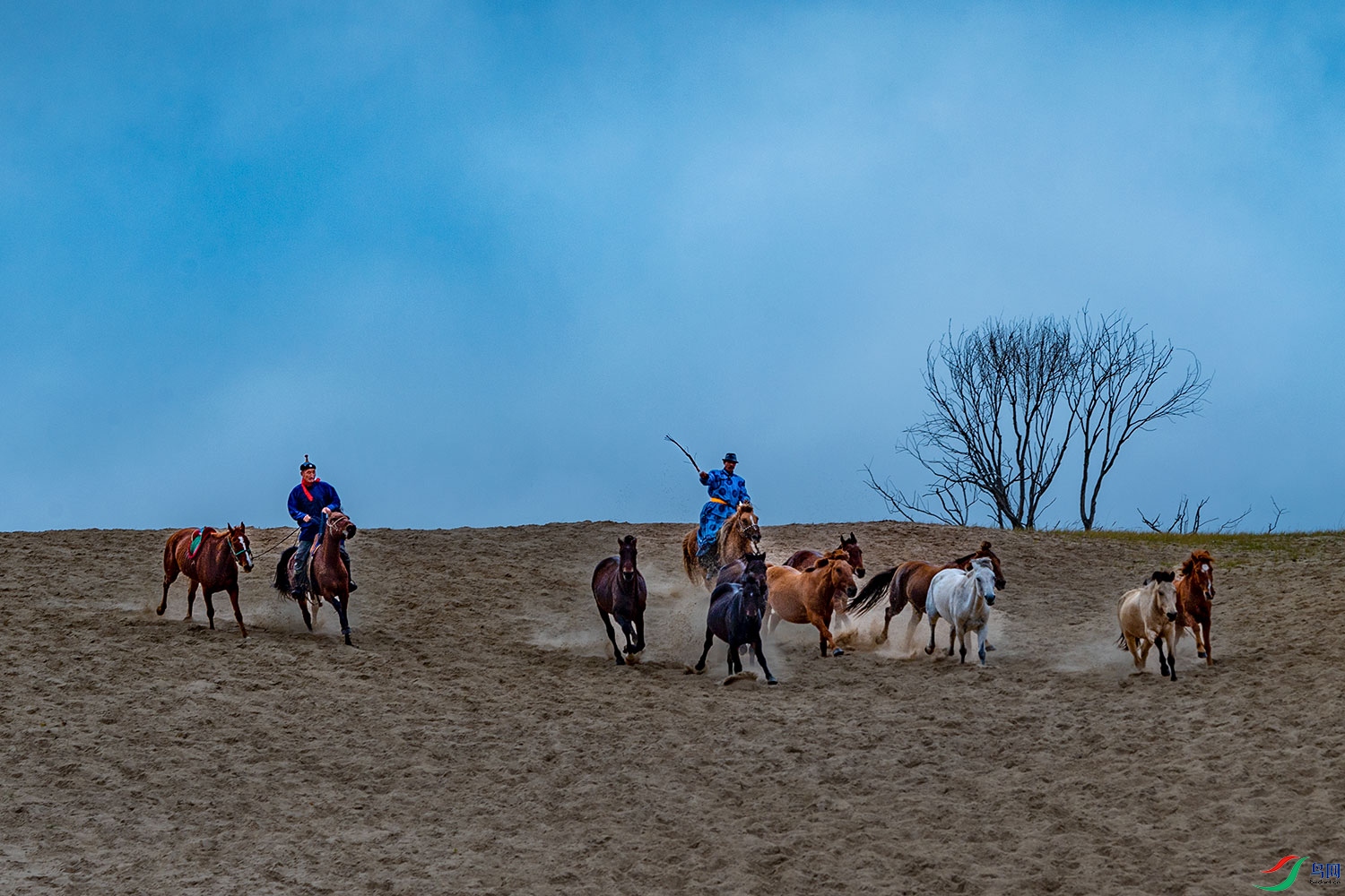 DSC_9647-2.jpg