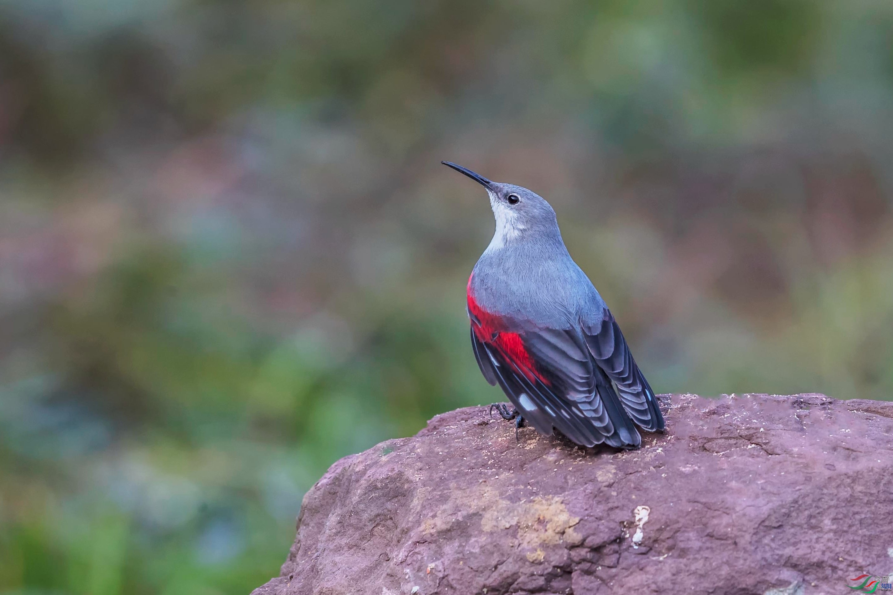 ��ֵ���  ��ʦ����.jpg