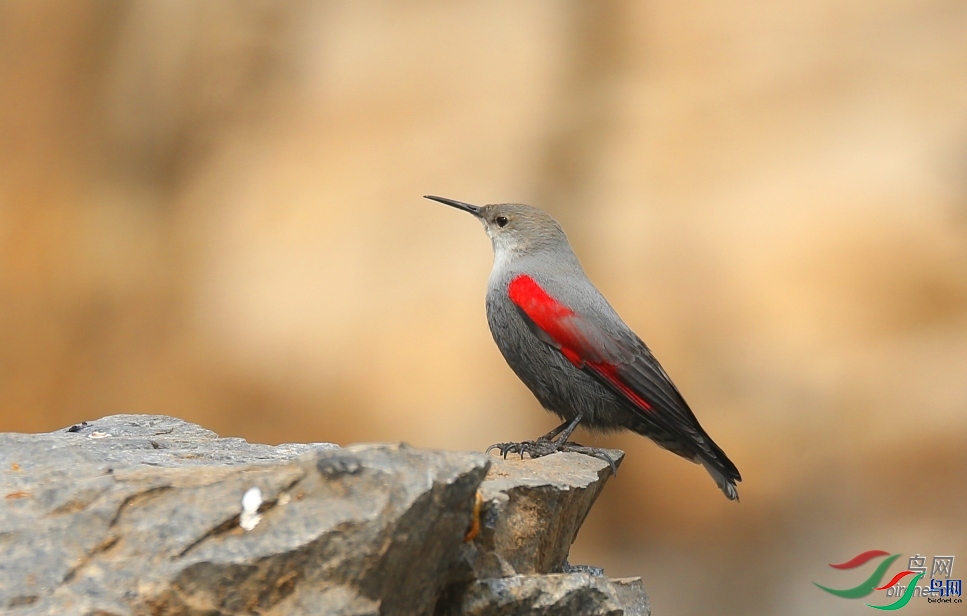 �ܱ���  ��ʦ����.jpg