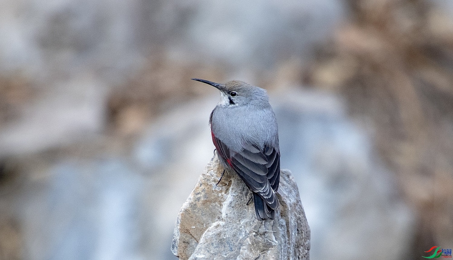 ����  ��ʦ�����ڱ����з�ɽ��0.jpg