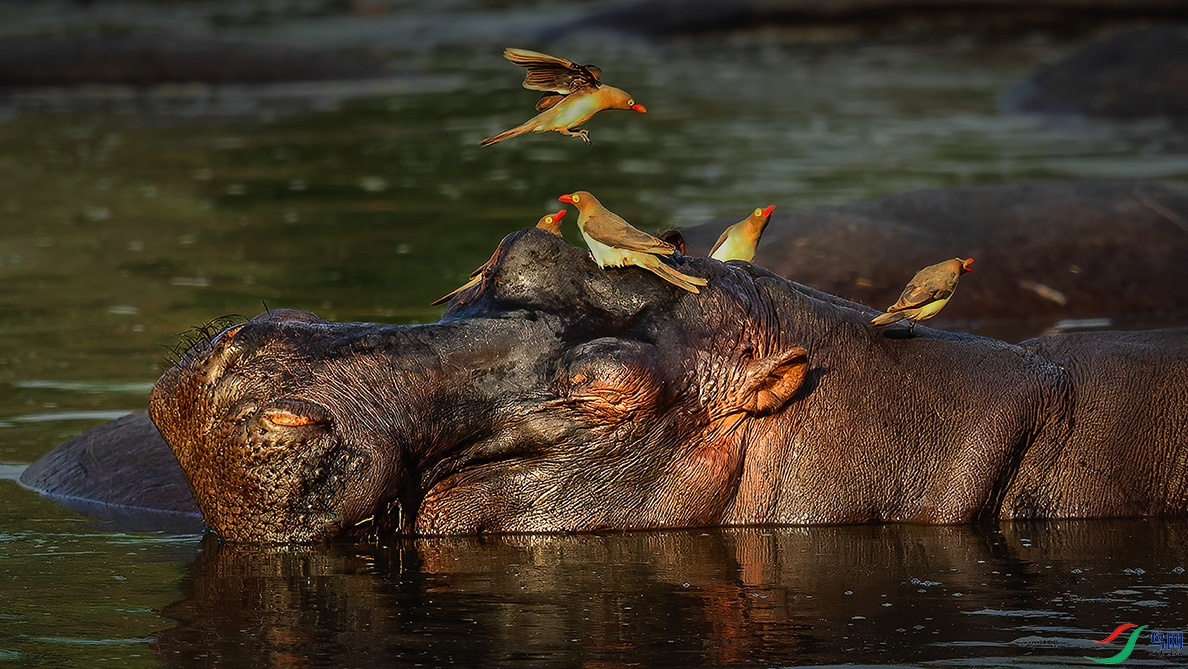 �����ڿ���������������