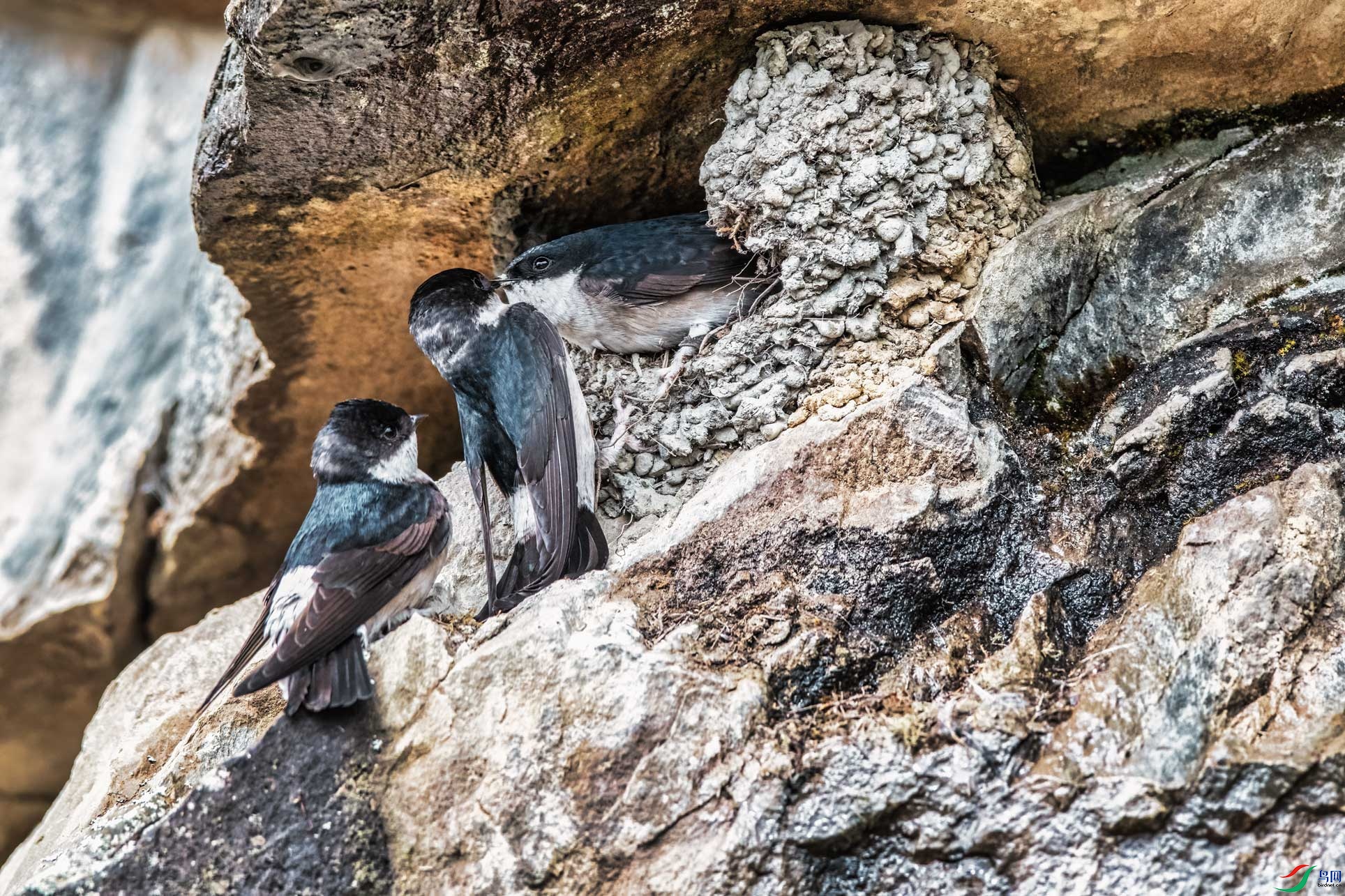 DSC_4285-1.jpg