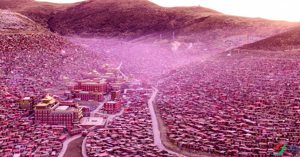 ɫ��������ѧԺ���췿��