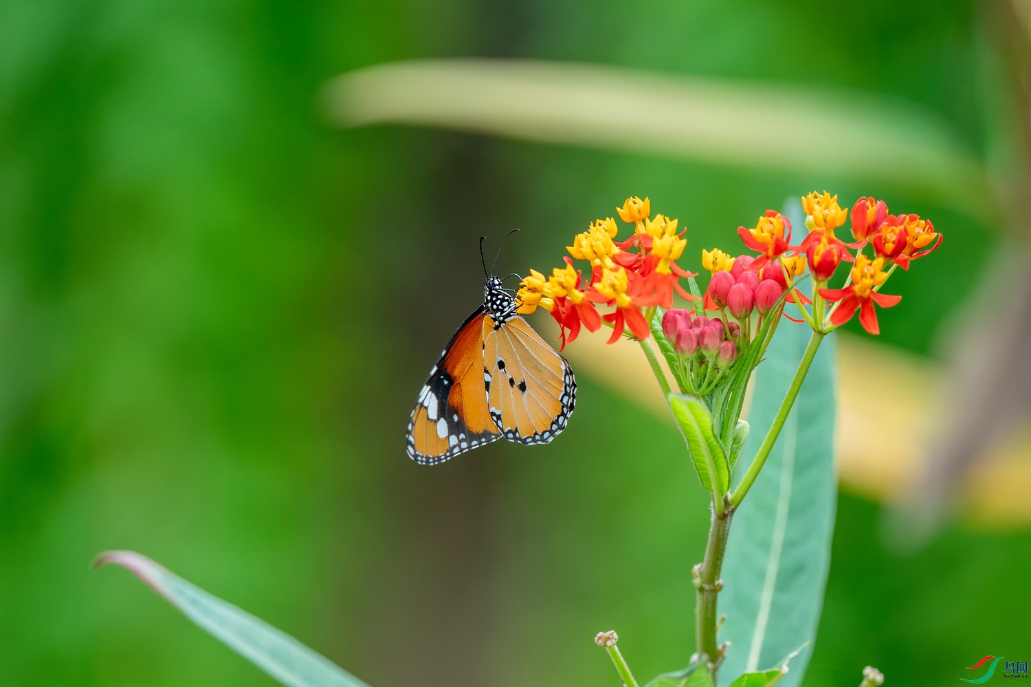 A9D05159a.jpg