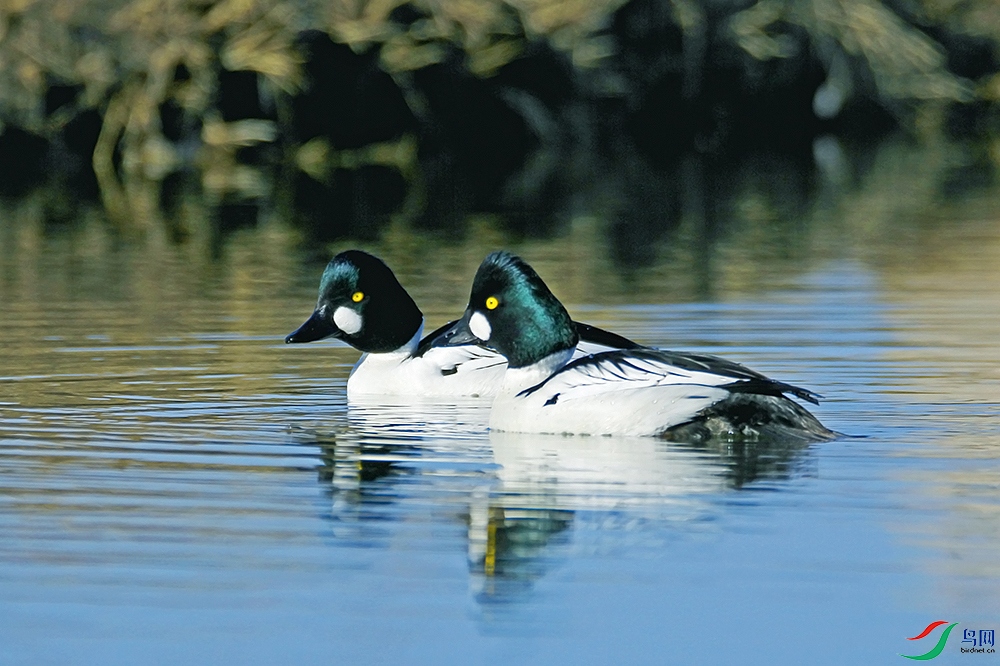 IMG_7307.jpg