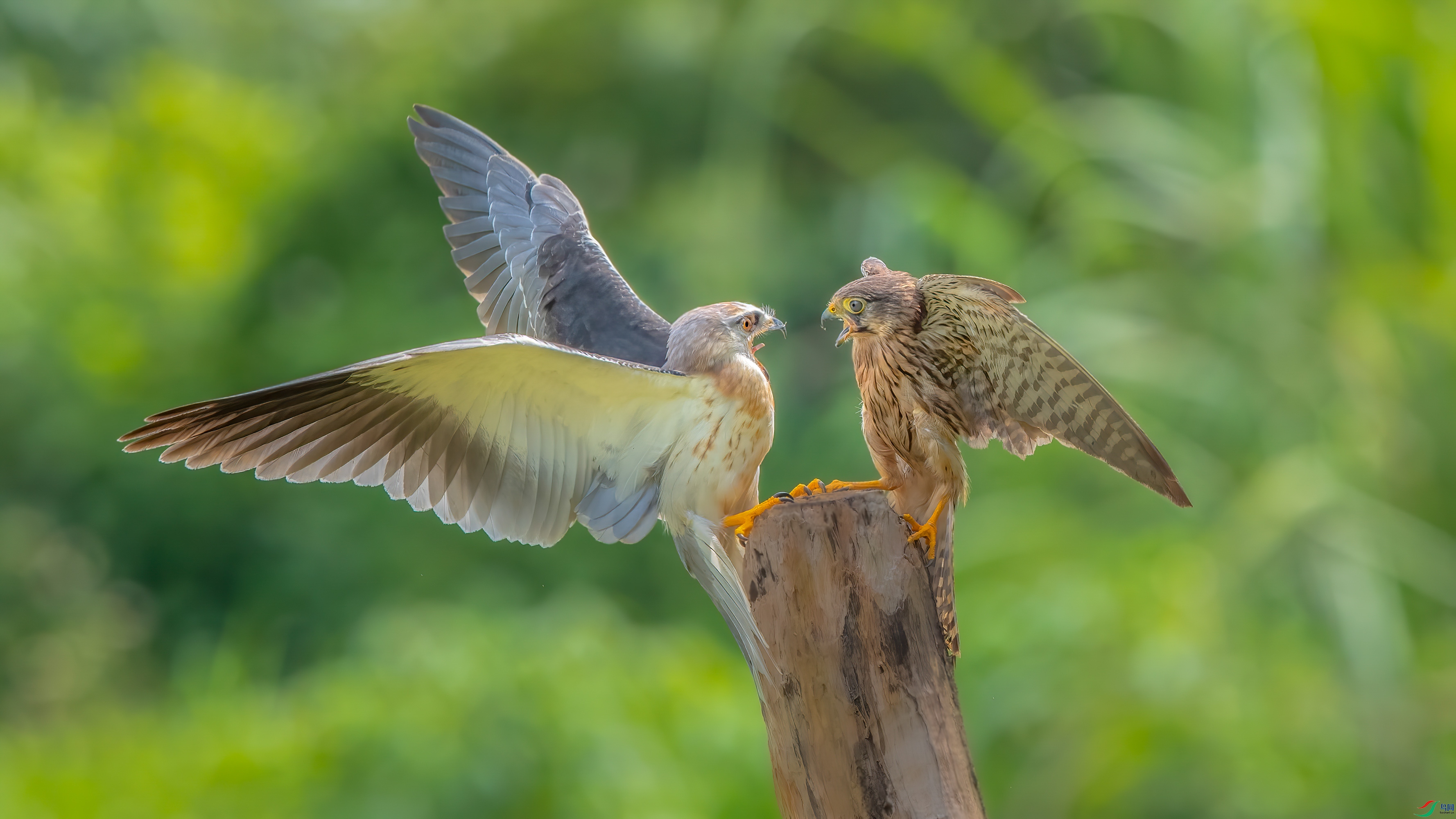 DSC_5261.jpg