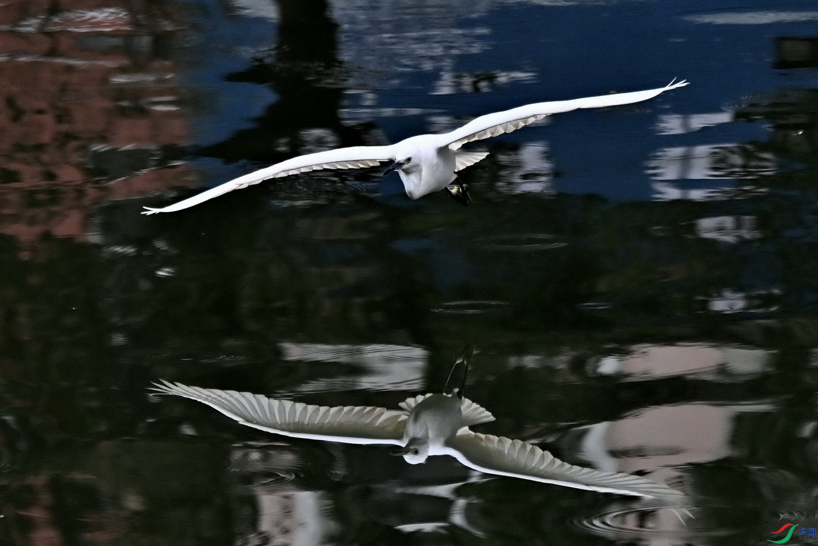 DSC_1428c.jpg
