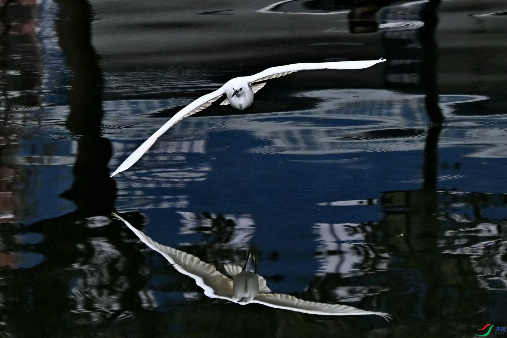 DSC_1426c.jpg