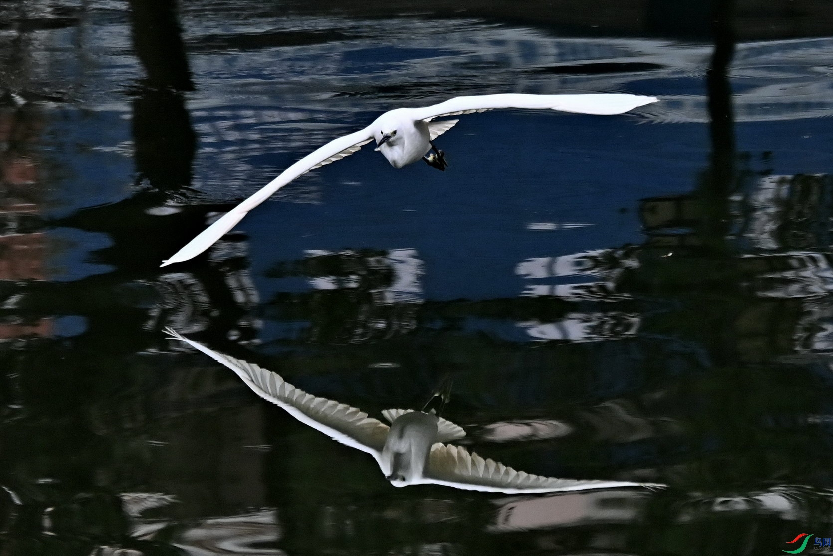 DSC_1427c.jpg