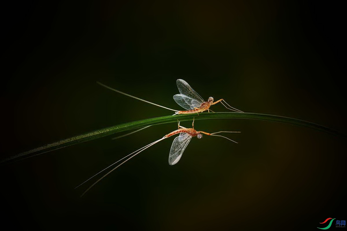 DSC_9074_����.jpg
