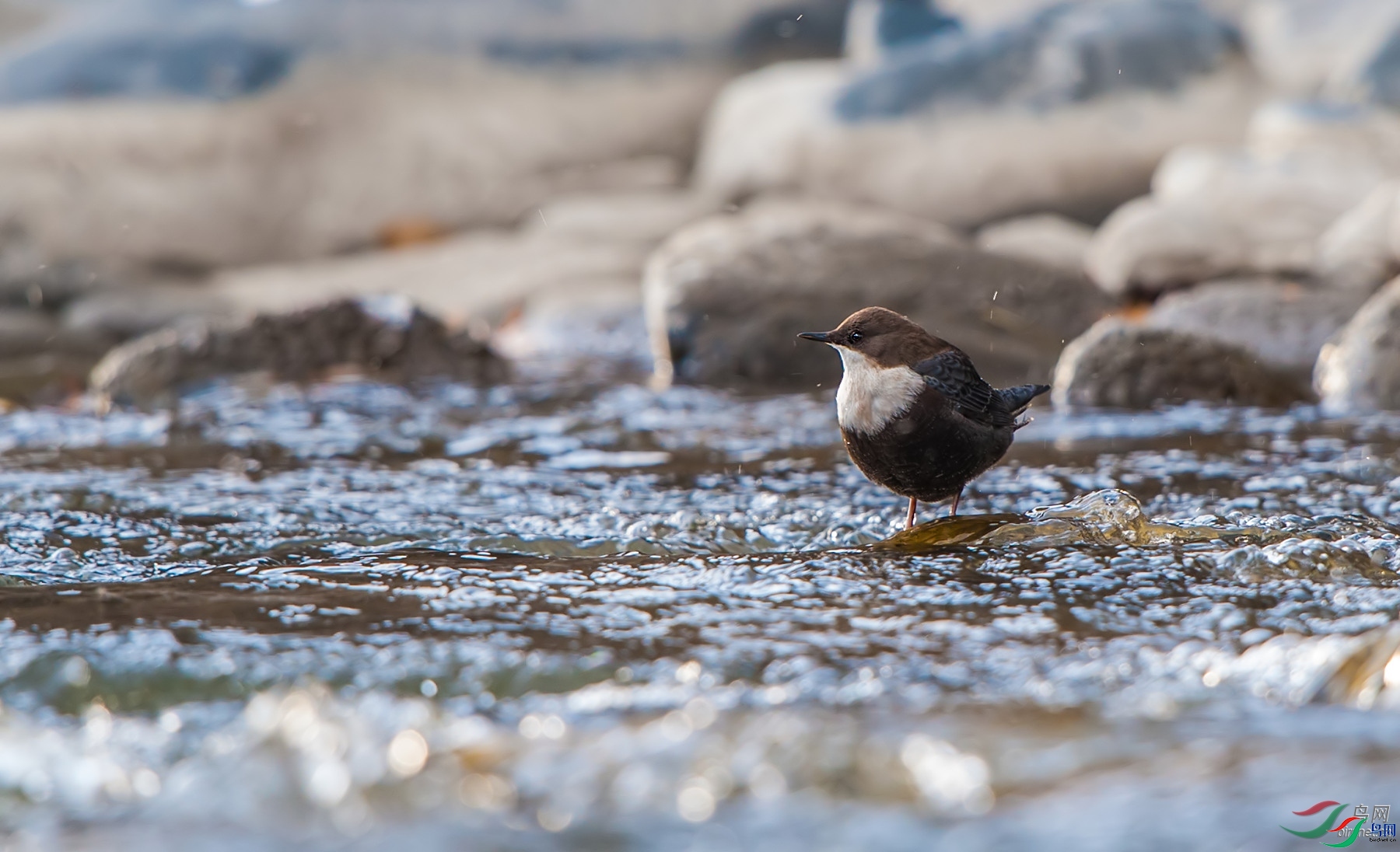 ��֮�Ժ� ��ʦ����.jpg