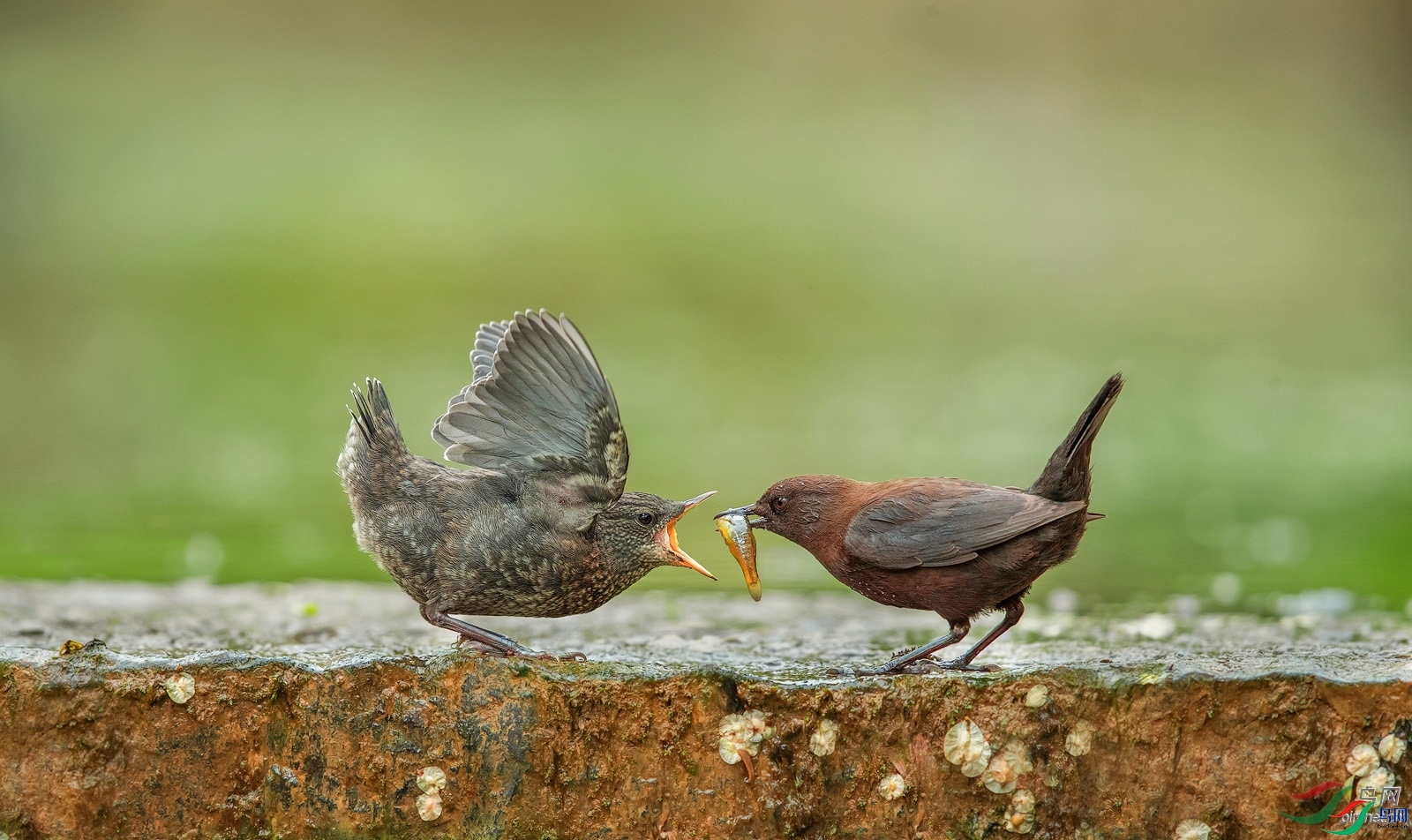 ��   ��ʦ����.jpg