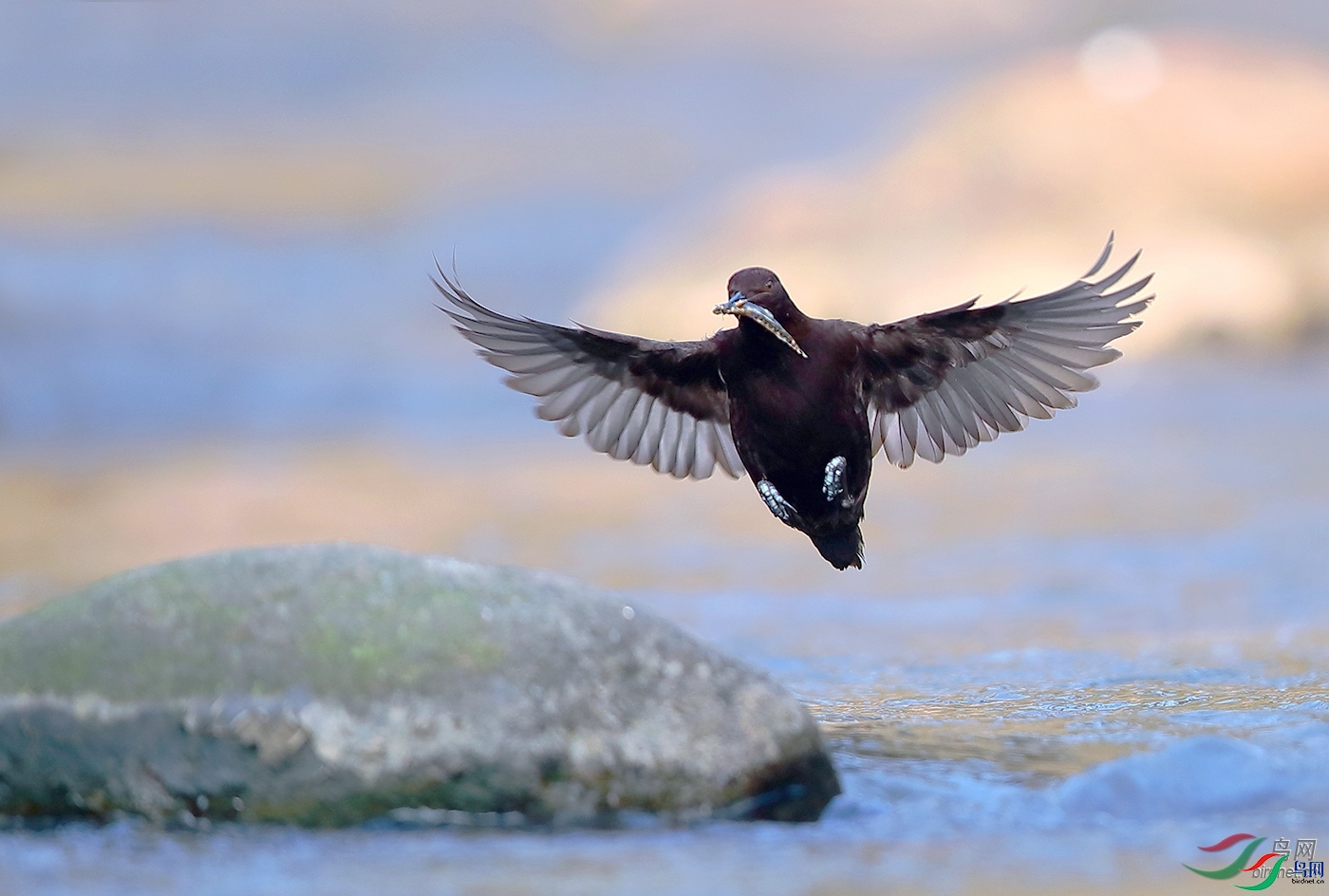 ������ɽ��   ��ʦ�����ڶ�����.jpg