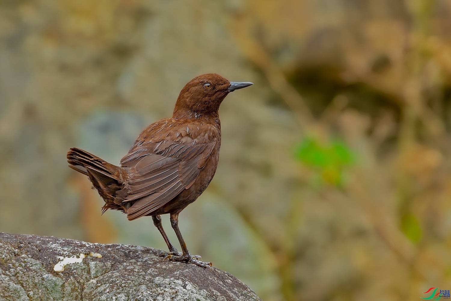 xklw   ��ʦ�������㽭ʡ�����з��0.jpg