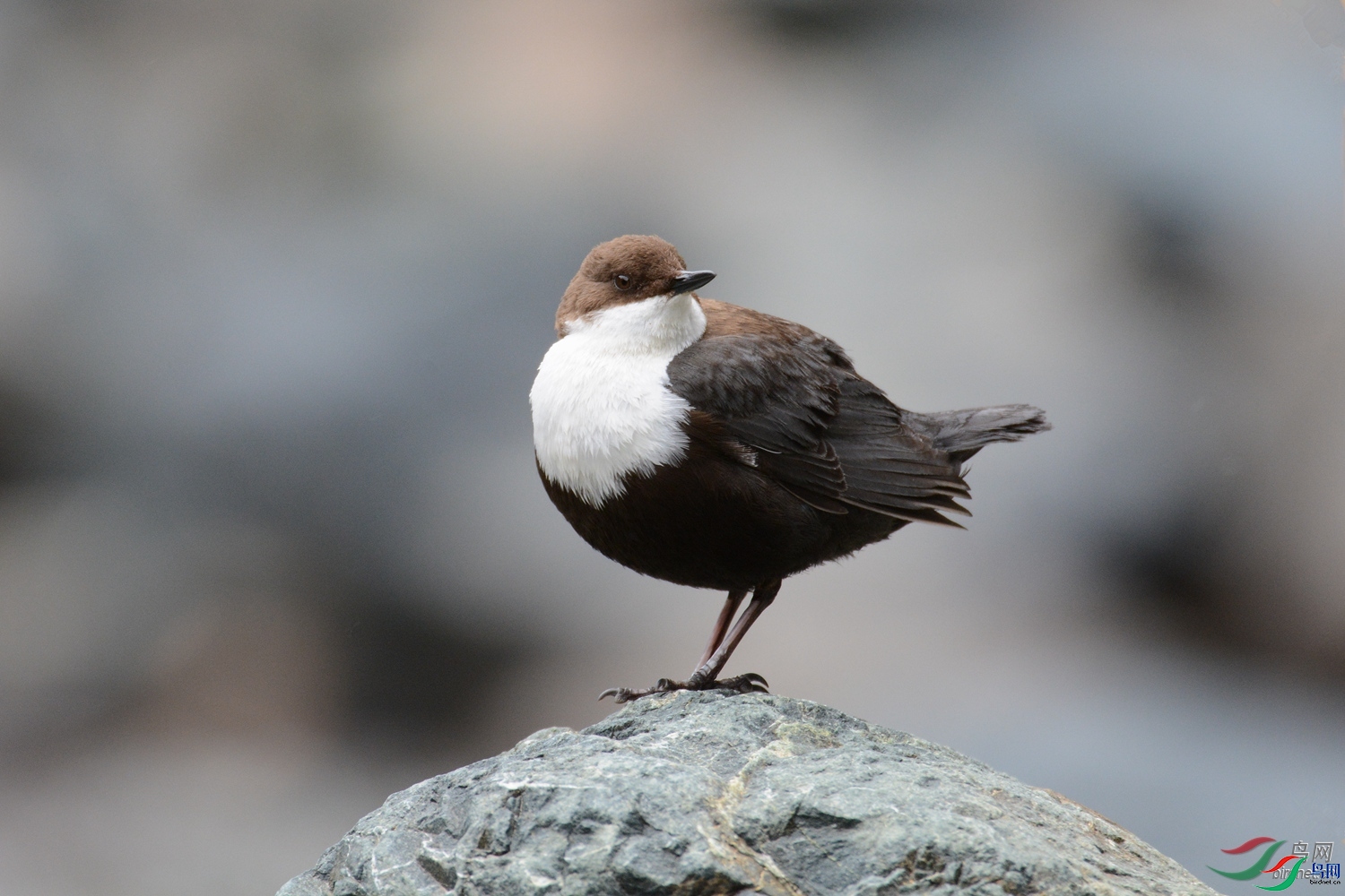 �ຣ·;   ��ʦ����.jpg