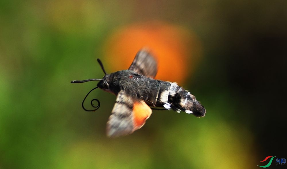 DSC_6744_����.jpg
