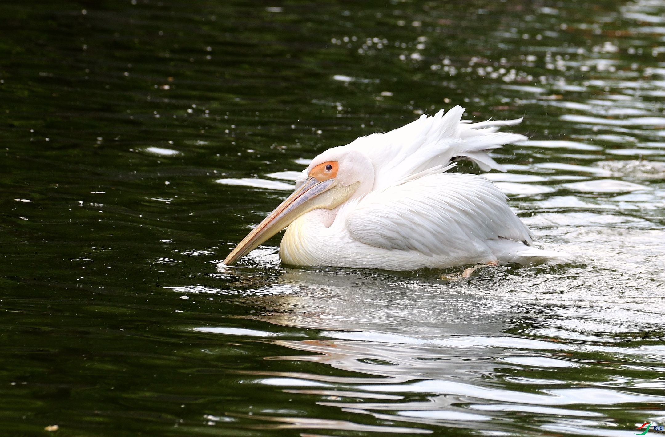 ��ëѩ�����պ�  ��������ˮ����1U4A3976_����.jpg