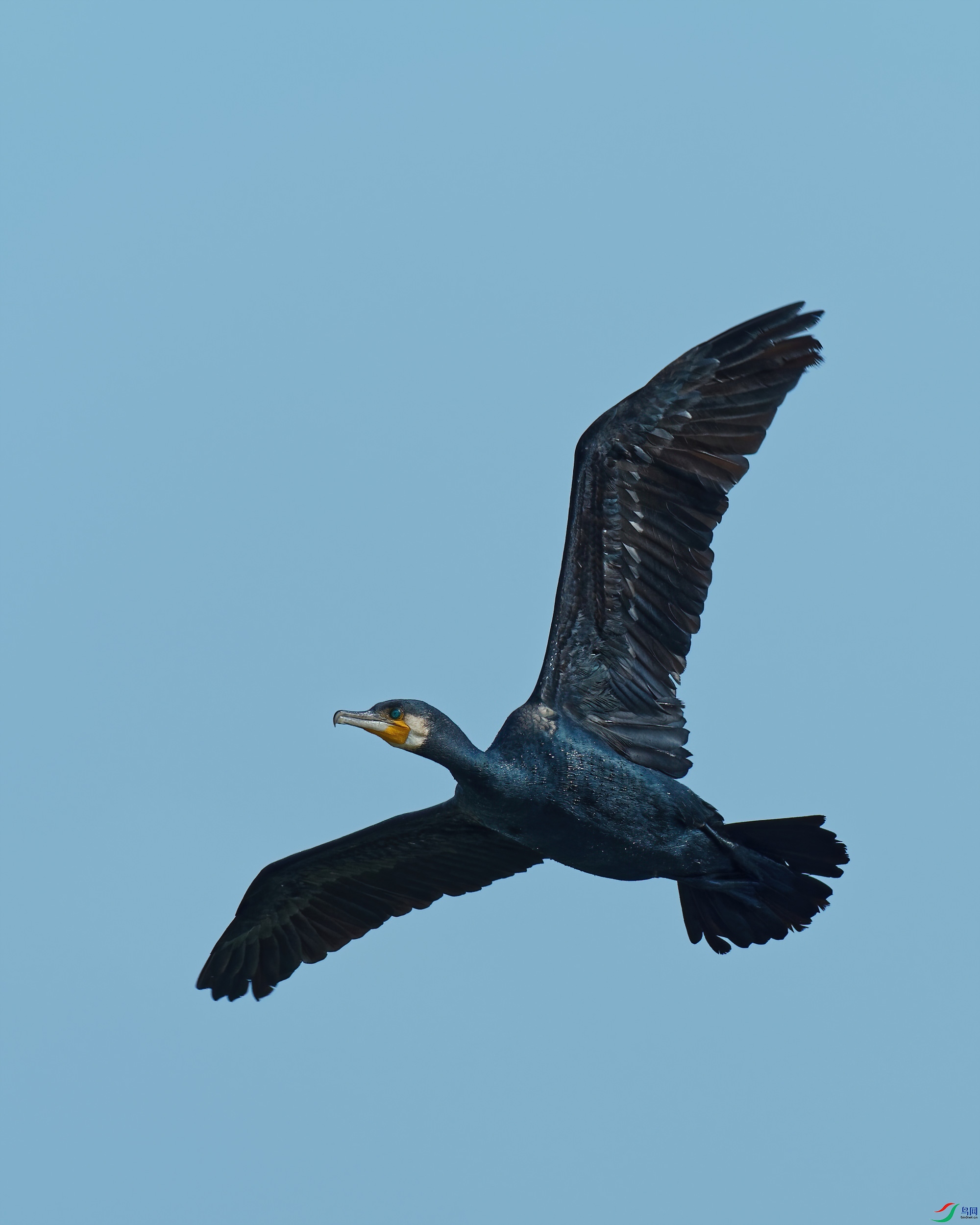PB020011_DxO-d2.jpg