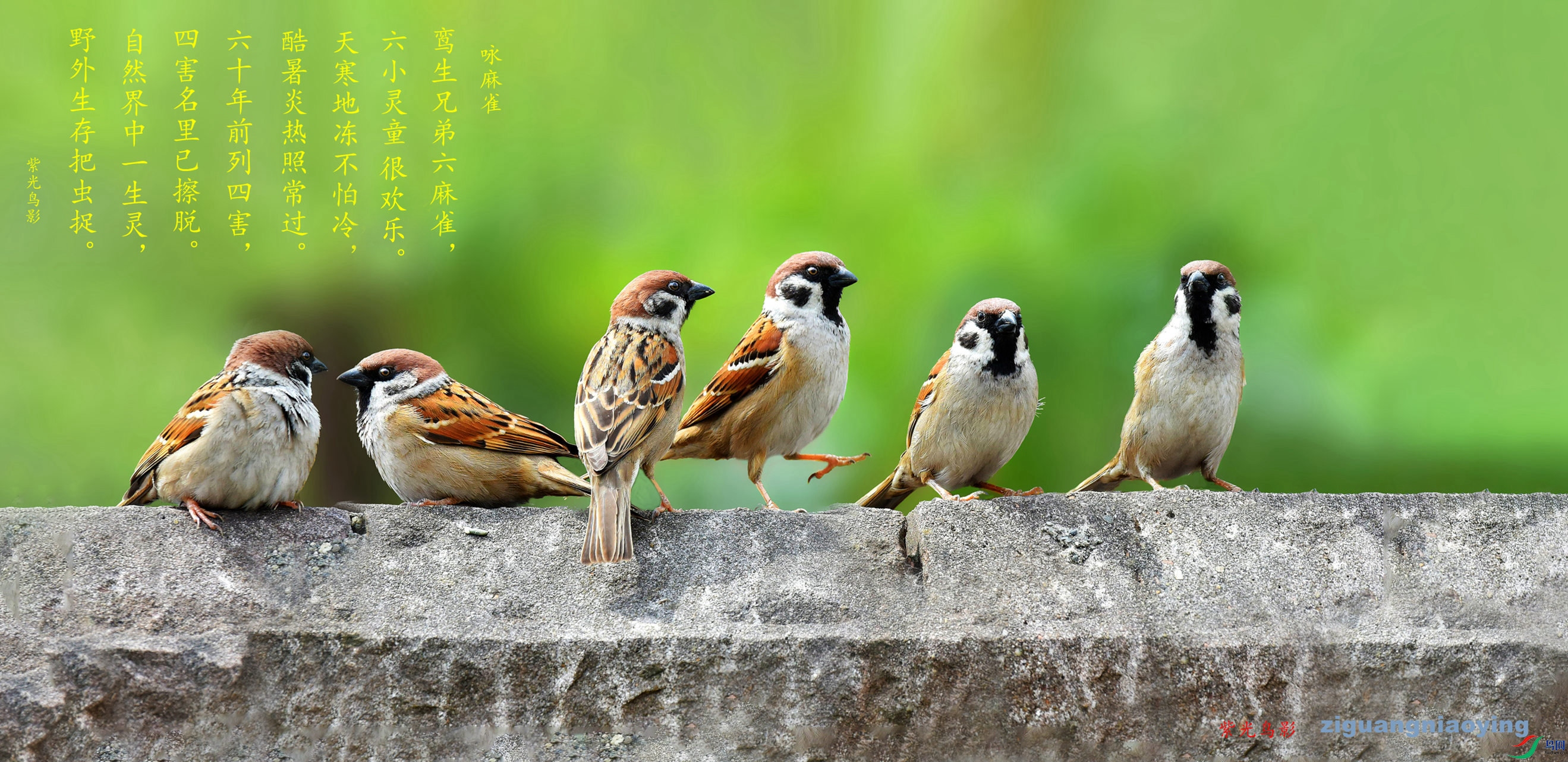 AAH_0748_����_����_���� ����.jpg