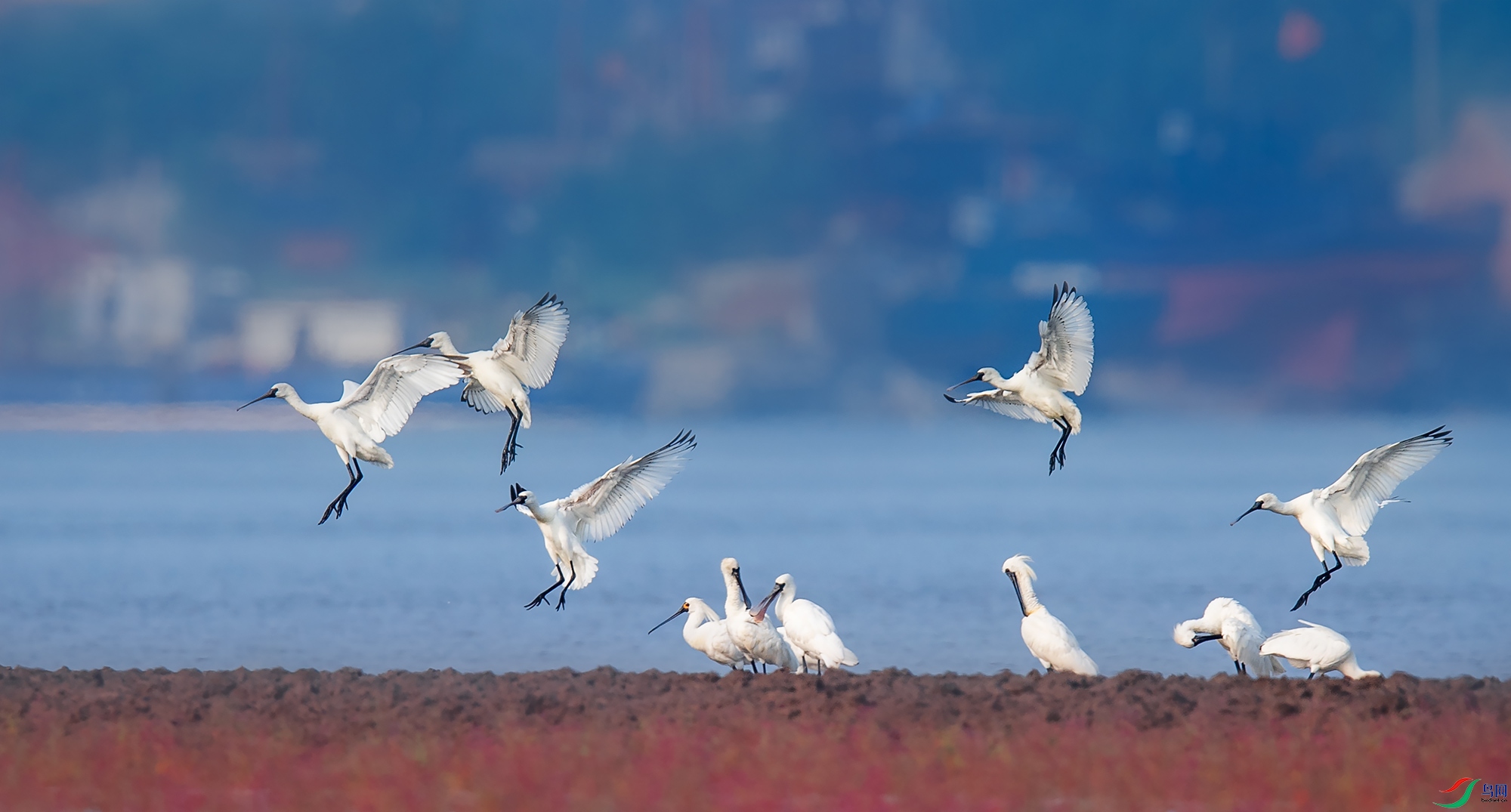 ��������