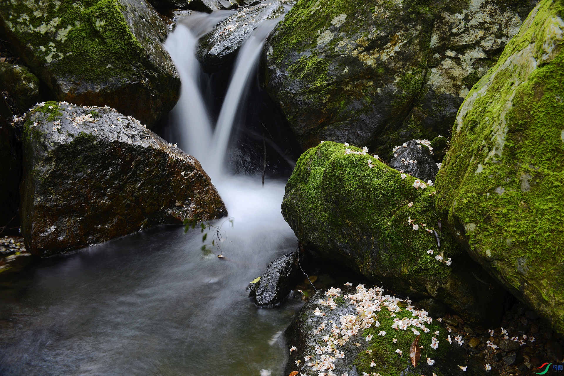 _D800246.jpg