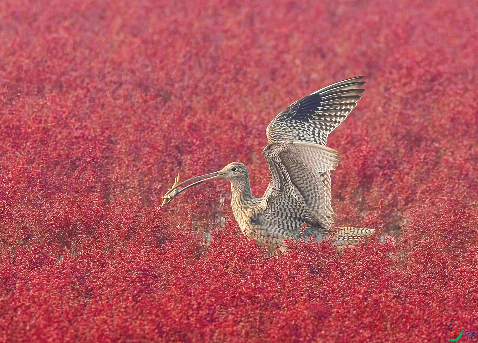 ���Ŀ�-�����- ���� 2.jpg