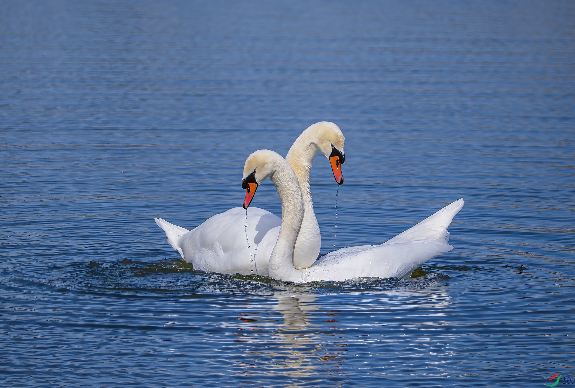 DWK_4676 ���� 2.jpg