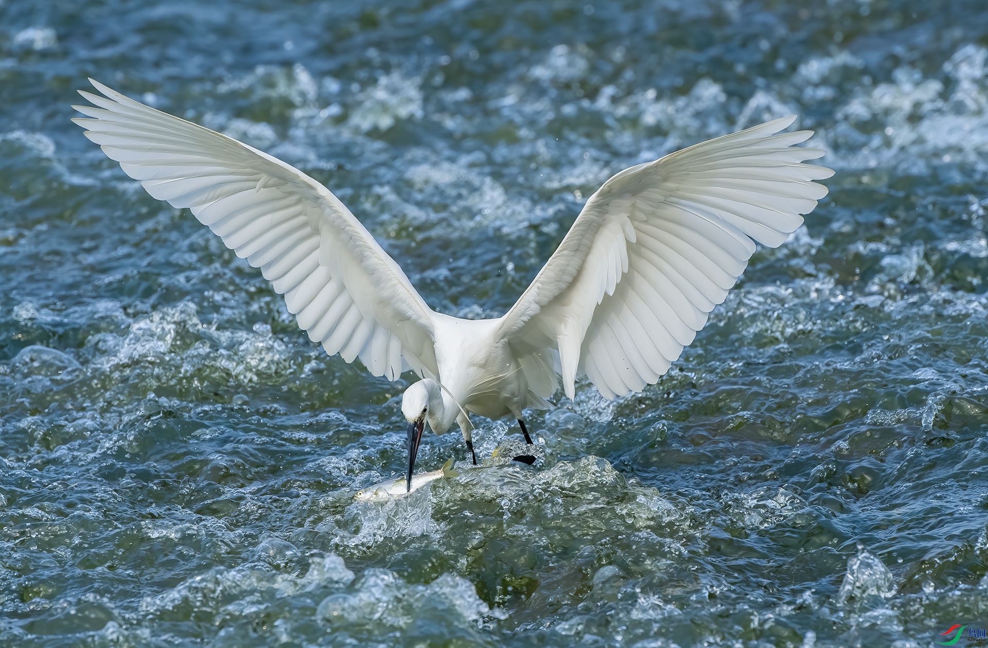 DWK_9814 ���� 2.jpg