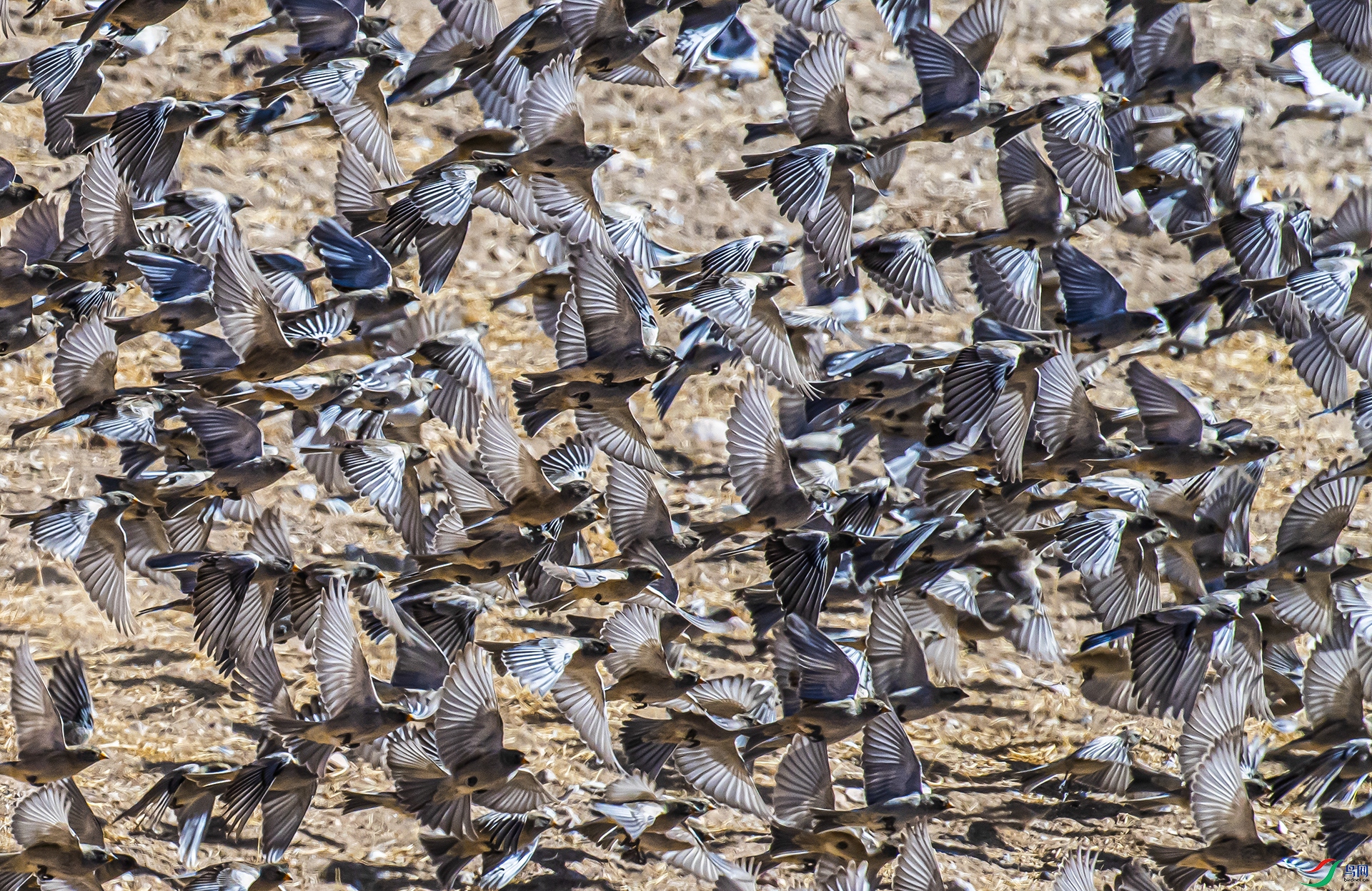 _DWK3119- ����.jpg