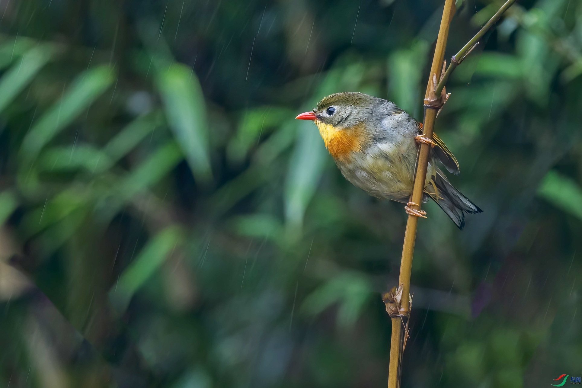DSC_3163-1.jpg