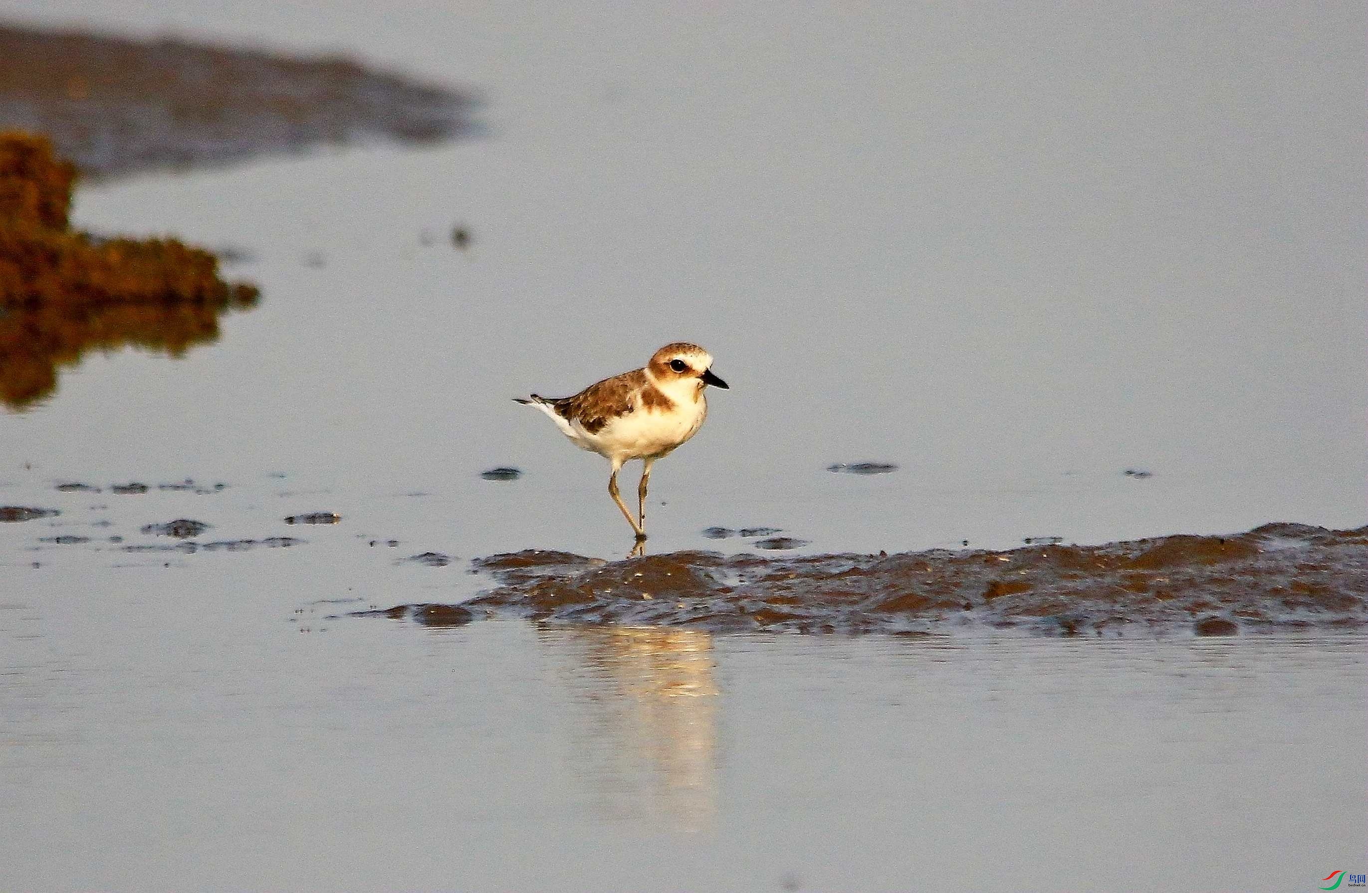 ���콣�a (1).JPG