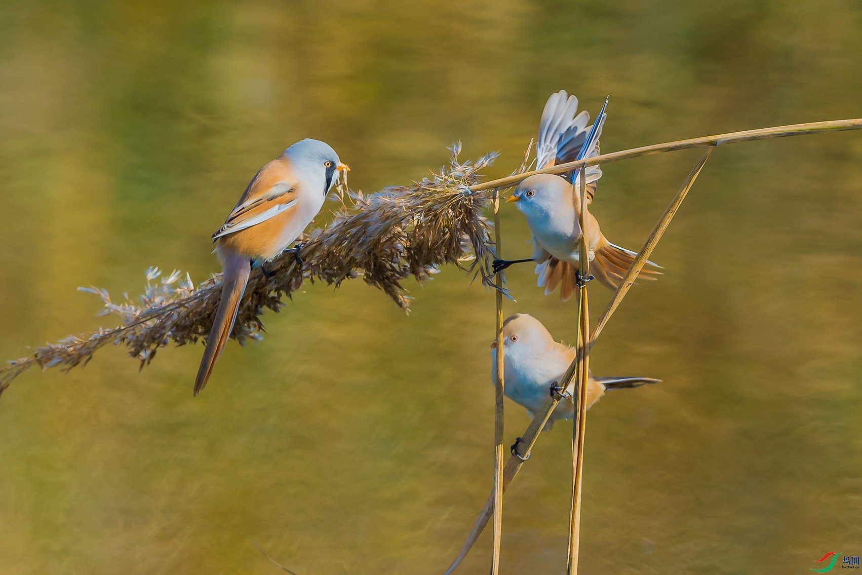DSC_5102-2.jpg